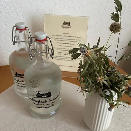 Wachbergbaude 3* Saupsdorf