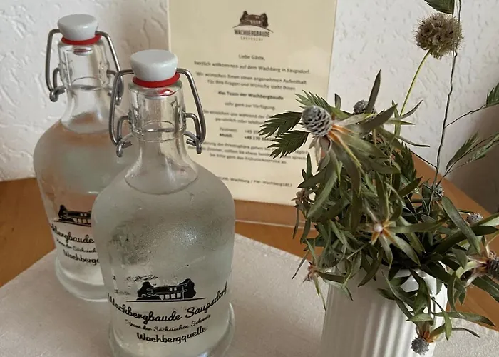 Wachbergbaude 3* Saupsdorf